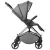 купить Детская коляска Kikka Boo Lanah Grey 2in1 (3800171204231) в Кишинёве 