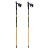 cumpără Bețe pentru trekking Masters NW PHYSIQUE 0.1 Carbon 125 cm 01N0319 125 în Chișinău 