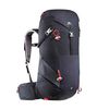 купить Походный рюкзак Quechua MH500 20 л в Кишинёве 