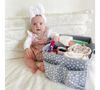 cumpără Geantă pentru mama Dreambaby G6080 Органайзер для мамы în Chișinău 