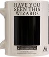 cumpără Cană Pyramid International SCMG25012 HARRY POTTER (WANTED SIRIUS) HEAT CHANGE MUG în Chișinău 