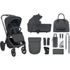 купить Детская коляска Kikka Boo 31001020171 Carucior 2in1 Goya Platinum Graphite в Кишинёве 