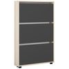 купить Полка для обуви Mobildor-Lux Leo Slim 100x16x125H cm Sonoma/Anthracite в Кишинёве 