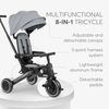 cumpără Bicicletă-cărucior Kikka Boo 31006020157 Tricicleta 8in1 Trix 2 Grey în Chișinău 
