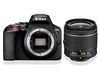 купить Nikon D3500 kit AF-P 18-55VR black, 24,2Mpx CMOS 23,2x15,4mm; EXPEED 4; ISO 100-25600; Full HD(60p); LiveView; 5 frames VBA550K001 в Кишинёве 