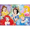 купить Пазл Clementoni Puzzle 180 Disney Princess (29311) в Кишинёве 