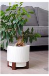 cumpără Ghiveci pentru flori Aleana 128023 Oslo cu insertie si suport decorartiv d16 cm, white în Chișinău 