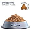 купить Корм для питомцев CLUB 4 PAWS 24231010 Sac junior rase mari pui 14 kg в Кишинёве 