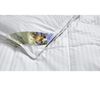 cumpără Plapumă Polydaun 1PRO8220220 Liv dekbed 4-seizoenen 200x220 White în Chișinău 