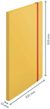 купить Папка для документов Leitz 46700019 Mapa cu folii Cosy A4, 20 folii, galbena в Кишинёве 