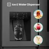 купить Холодильник SideBySide Hisense RS9P628GPFE в Кишинёве 