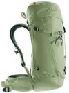 cumpără Rucsac turistic Deuter Guide 34+6 grove-ivy (3361126 1214 0) în Chișinău 