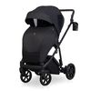 купить Детская коляска Riko Carucior 2in1 Mila 04 magma в Кишинёве 