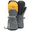 купить Одежда для спорта Rab Перчатки Expedition 8000 Mitts Gold L (QED-23-GO-L) в Кишинёве 