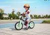 cumpără Bicicletă Hape E1208 Bicicletă de echilibru Learner Balance Bike, verde în Chișinău 