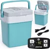 купить Холодильник портативный Peme Ice-on 32 Cool Mint в Кишинёве 