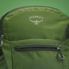 cumpără Rucsac sportiv Osprey Daylite Plus Green Belt/Green Canopy (843820185485) în Chișinău 