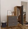 купить Комод Trendy CC6-AA 60x140x45cm, multifunctionala (GTR006710) в Кишинёве 