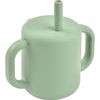 купить Поильник Beaba B913573 Cana de antrenament cu pai din silicon Sage Green в Кишинёве 