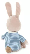купить Мягкая игрушка Orange Toys OS015-233/20 Lucas The Rabbit 20 в Кишинёве 