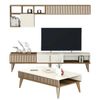 купить Стенка Trendy Milano-482 (комплект мебели для гостиной) (GTR001302) в Кишинёве 