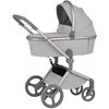 cumpără Сărucior pentru copii Anex FL-06 Carucior 2in1 Flo Frossy în Chișinău 