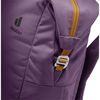 купить Рюкзак городской Deuter Vista Spot plum-cinnamon в Кишинёве 