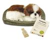 cumpără Jucărie de pluș Perfect Petzzz 91-19 Cățeluș Shih Tzu cu imitație de respirație în Chișinău 