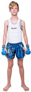 купить Защитное снаряжение SUHS SL-00014081 Vesta protectie lupta pt copii S (8-9 ani) BO-0399 в Кишинёве 