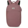 cumpără Rucsac pentru oraș Osprey Arcane Large Day Purple Garnet Heather (810165743458) în Chișinău 