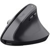 купить Мышь Trust TR25146 Bayo+, Black в Кишинёве 