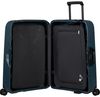 купить Чемодан Samsonite Magnum Eco (139846/1549) в Кишинёве 