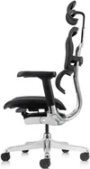 cumpără Fotoliu de birou ART Ergohuman Elite 2 Black T-168-B1 EHE2-AB-HAM-5D-L în Chișinău 