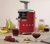 купить Соковыжималка шнековая SMEG SJF01RDEU в Кишинёве 