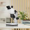 купить Микроскоп Bresser Science ETD-301 Stereo в Кишинёве 