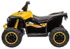 купить Электромобиль Golden Baby HL568 ATV electric pentru copii, galben, GB2267 в Кишинёве 
