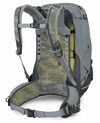купить Туристический рюкзак Osprey Sirrus 34 Medium Gray (810165747371) в Кишинёве 
