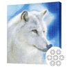 купить Картина по номерам Art Gallery GA79357 Mozaic cu diamante 40x50cm Lup alb в Кишинёве 