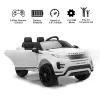 купить Электромобиль Richi RRE99/2 alba Range Rover Evoque в Кишинёве 