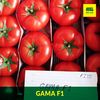 купить Гамма F1 - семена гибрида томата - Семилас Фито в Кишинёве 