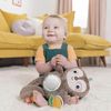 cumpără Jucărie de pluș Bright Starts 12501 Jucarie Lenesul Zambaret în Chișinău 