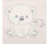 купить Детская одежда New Baby 41163 набор одежды для новорожденных 4 ед Sweet Bear beige в Кишинёве 