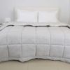 купить Домашний текстиль Relaxe Home 024552 Plapuma TEP TEDDY 200x210cm (350g/m²) Light Grey в Кишинёве 