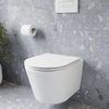 cumpără Vas WC Ravak Flow RimOff set white X01985 în Chișinău 