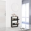 купить Полка для обуви Mobildor-Lux Leo Slim 50x16x86H cm Sonoma/Anthracite в Кишинёве 