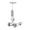 купить Самокат Chipolino DSBLO0262GY 2в1 Bloomi grey в Кишинёве 