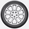 cumpără Anvelopă Fortune 195/55 R16 87H FSR-901 în Chișinău 