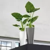 cumpără Ghiveci pentru flori Lechuza Delta Premium 40, White în Chișinău 
