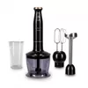 cumpără Blender de mână GoldMaster GM 7271 Black/Gold 1500W în Chișinău 