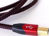 cumpără Cablu IT Audioquest Cinnamon 2.0 A-B 1.5m în Chișinău 